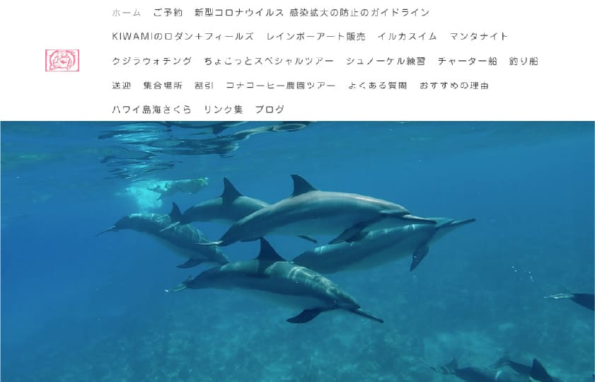 キワイルカ